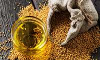 واردات دانه های روغنی و کنجاله سویا