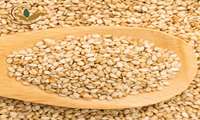 ثبت سفارش کنجد